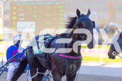 2025_PACEPIX_GP16122025_RACE3_CaptainsCreek_WIN_WEB-12