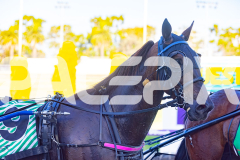 2025_PACEPIX_GP16122025_RACE3_CaptainsCreek_WIN_WEB-13
