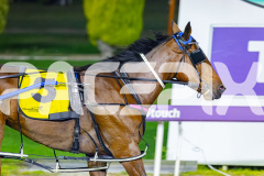 2026_PACEPIX_GP18042026_RACE3_Captainshavtime_WIN_WEB-18
