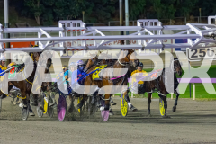 2026_PACEPIX_GP18042026_RACE3_Captainshavtime_WIN_WEB-2