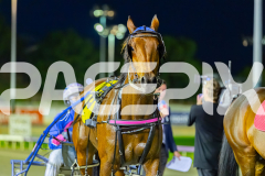 2026_PACEPIX_GP18042026_RACE3_Captainshavtime_WIN_WEB-24