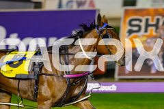 2026_PACEPIX_GP18042026_RACE3_Captainshavtime_WIN_WEB-9