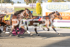 Captainshavtime_03-04-2026_WIN_Gloucester-Park_3__07