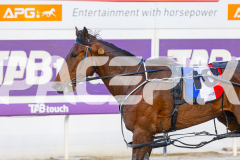 2025_PACEPIX_GP14102025_Race3_Charivari_WIN_WEB-11