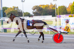 2025_PACEPIX_GP14102025_Race3_Charivari_WIN_WEB-12