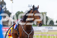 2025_PACEPIX_GP14102025_Race3_Charivari_WIN_WEB-13