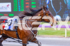 2025_PACEPIX_GP14102025_Race3_Charivari_WIN_WEB-8