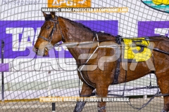 2026_PACEPIX_GP22092026_RACE3_Charivari_WIN_WEB-22