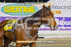 2026_PACEPIX_GP22092026_RACE3_Charivari_WIN_WEB-25