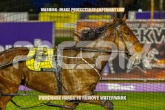 2026_PACEPIX_GP22092026_RACE3_Charivari_WIN_WEB-3