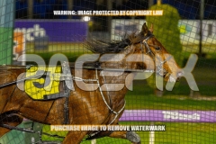2026_PACEPIX_GP22092026_RACE3_Charivari_WIN_WEB-4