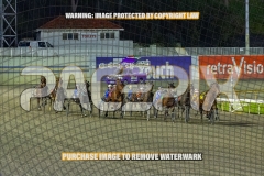 2026_PACEPIX_GP22092026_RACE3_Charivari_WIN_WEB-7
