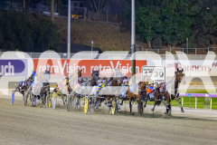 2026_PACEPIX_GP20032026_RACE3_ChasingRex_WIN_WEB-1