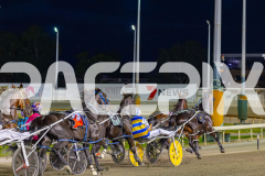 2026_PACEPIX_GP20032026_RACE3_ChasingRex_WIN_WEB-5