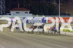 2026_PACEPIX_GP20032026_RACE3_ChasingRex_WIN_WEB-6