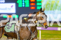 2025_PACEPIX_GP17062025_Race3_CodenameMarcus_WIN_WEB_S_-11