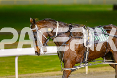2025_PACEPIX_GP17062025_Race3_CodenameMarcus_WIN_WEB_S_-13