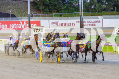 2025_Pacepix_GP31132025_Race3_CopyCatQueen_WIN_WEB-1
