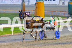 2025_Pacepix_GP31132025_Race3_CopyCatQueen_WIN_WEB-10