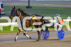 2025_Pacepix_GP31132025_Race3_CopyCatQueen_WIN_WEB-11