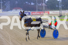 2025_Pacepix_GP31132025_Race3_CopyCatQueen_WIN_WEB-16