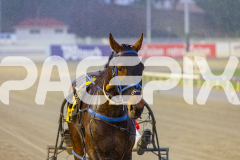 2025_Pacepix_GP31132025_Race3_CopyCatQueen_WIN_WEB-17