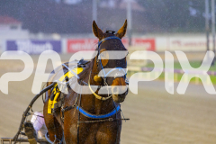 2025_Pacepix_GP31132025_Race3_CopyCatQueen_WIN_WEB-18