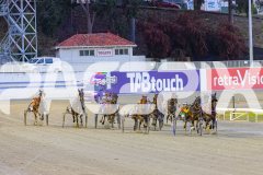 2025_Pacepix_GP31132025_Race3_CopyCatQueen_WIN_WEB-2