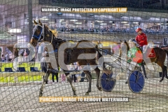 2026_PACEPIX_GP09102026_RACE3_CopyCatQueen_WIN_WEB-14