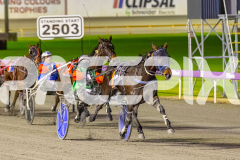 2025_PACEPIX_GP25072025_Race3_CopyCatQueen_WIN_WEB-3