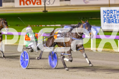 2025_PACEPIX_GP25072025_Race3_CopyCatQueen_WIN_WEB-5