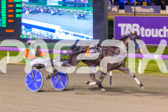 2025_PACEPIX_GP25072025_Race3_CopyCatQueen_WIN_WEB-7