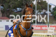 Race 3 - Cullen Star
