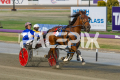 Cullen-Star_13-12-2025_WIN_Glouester-Park_3__04