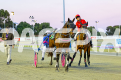 2025_PACEPIX_GP29112025_Race3_Delulu_WIN_WEB-13