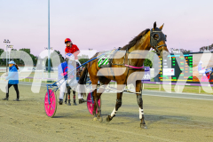 2025_PACEPIX_GP29112025_Race3_Delulu_WIN_WEB-14