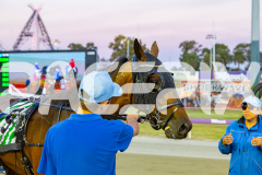 2025_PACEPIX_GP29112025_Race3_Delulu_WIN_WEB-9