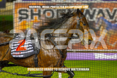 2026_Pacepix_GP21082026_Race3_Elwaddell_WIN_WEB-5