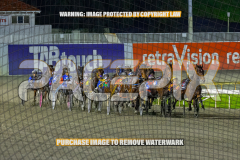 2026_Pacepix_GP21082026_Race3_Elwaddell_WIN_WEB-6