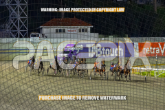2026_Pacepix_GP21082026_Race3_Elwaddell_WIN_WEB-7