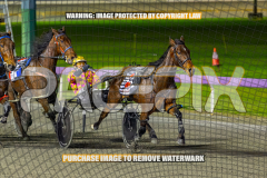 2026_Pacepix_GP21082026_Race3_Elwaddell_WIN_WEB-9
