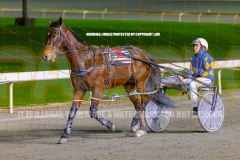 2026_PACEPIX_GP24072026_RACE3_ElWaddell_WIN_WEB-14