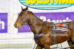2026_PACEPIX_GP24072026_RACE3_ElWaddell_WIN_WEB-15