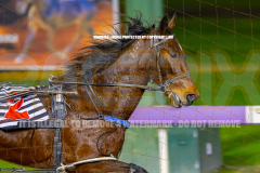 2026_PACEPIX_GP24072026_RACE3_ElWaddell_WIN_WEB-2