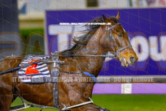 2026_PACEPIX_GP24072026_RACE3_ElWaddell_WIN_WEB-6