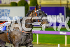 2026_PACEPIX_GP17072026_RACE3_ERA_WIN_WEB-11