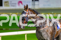 2026_PACEPIX_GP17072026_RACE3_ERA_WIN_WEB-13