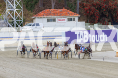 2025_PACEPIX_GP28102025_Race3_FabulousDream_WIN_WEB-1