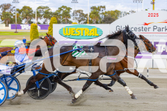 2025_PACEPIX_GP28102025_Race3_FabulousDream_WIN_WEB-10