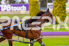2025_PACEPIX_GP28102025_Race3_FabulousDream_WIN_WEB-13